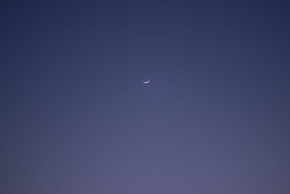 Spring holiday photo 1