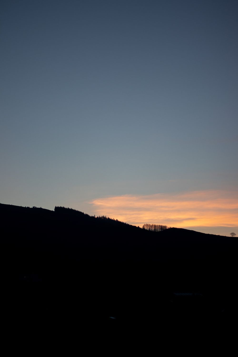 Spring holiday photo 5