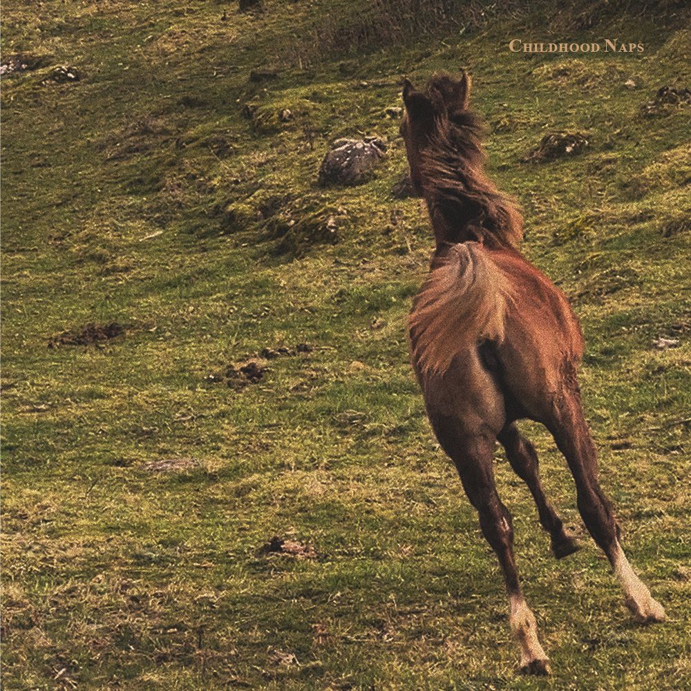 Childhood Naps artwork