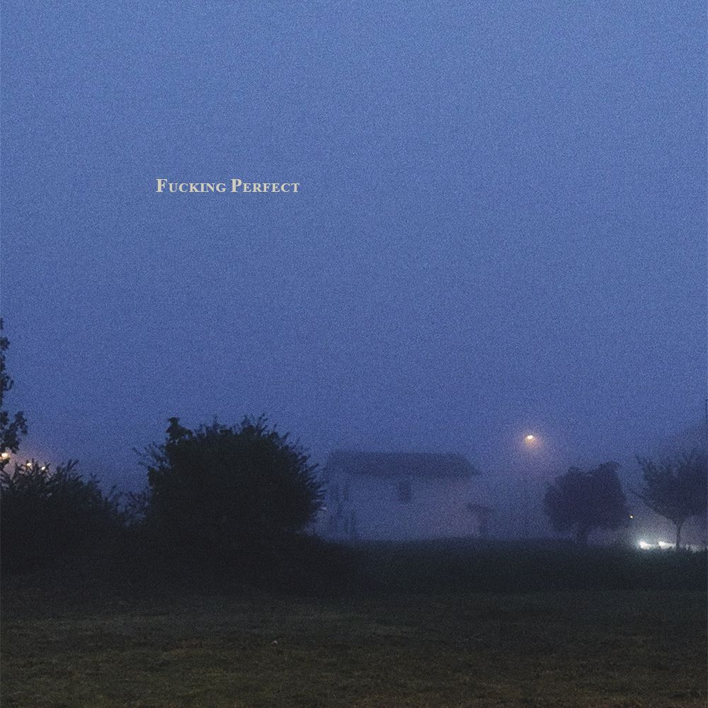 Fucking Perfect artwork