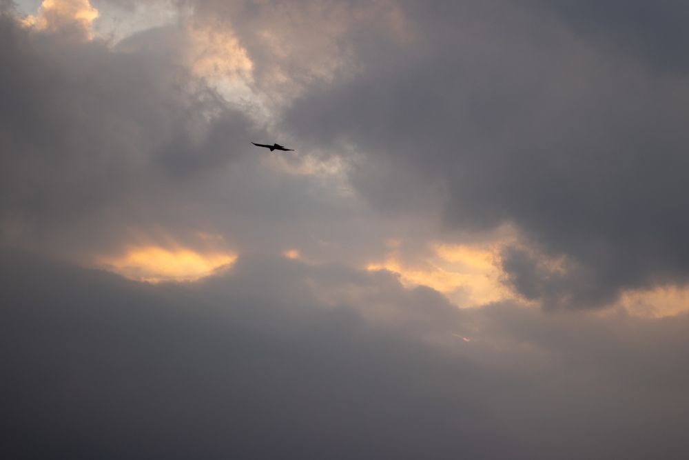 Spring holiday photo 3